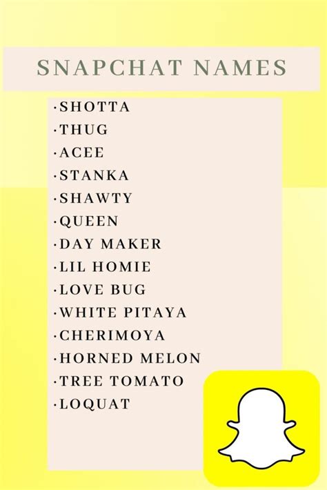 300+ Great Snapchat Username Ideas